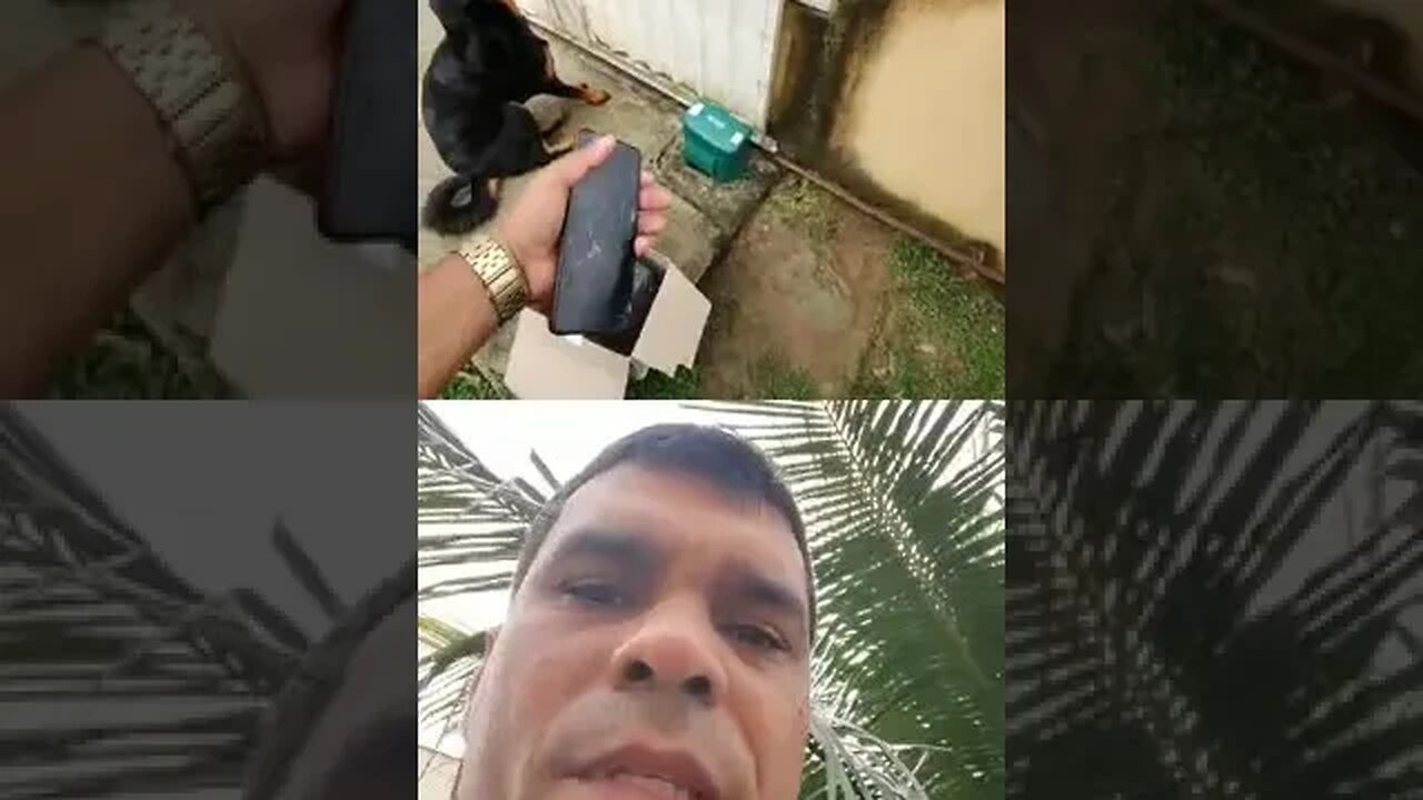 Vamos aprender muitas coisas juntos em 2023#feliznatal