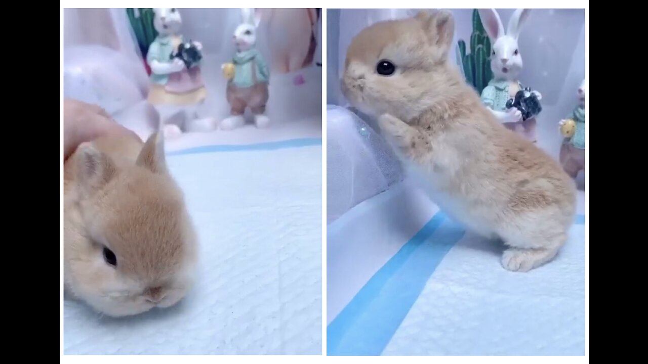 HE TRIED TO JUMP OUT ….😱😱
