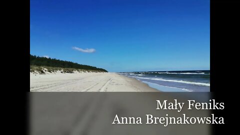 Mały Feniks - Anna Brejnakowska