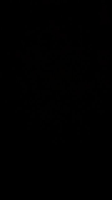 Politicians are corrupt liars