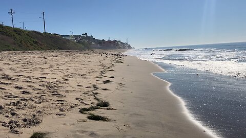 Walk on the beach or go to canters for a Reuben