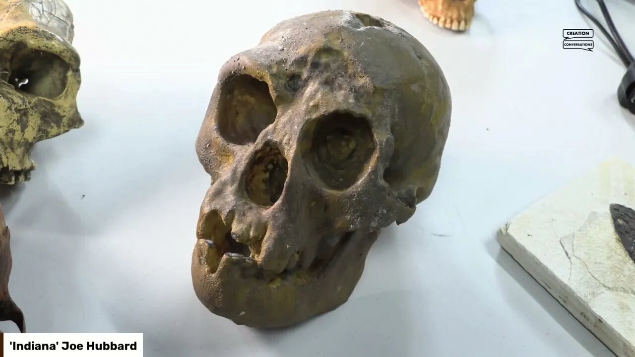 What’s Unusual about these Skulls?