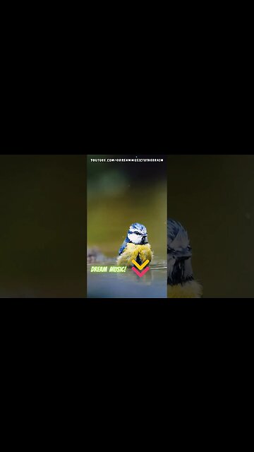 Fuel Your Journey with Smooth Beats 🎧🚗 Best Music for Summer Road Trips