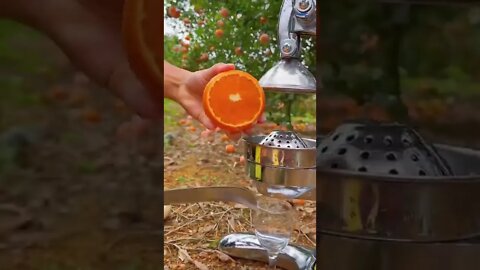 orange nactor very nice video #shorts - Subscribe