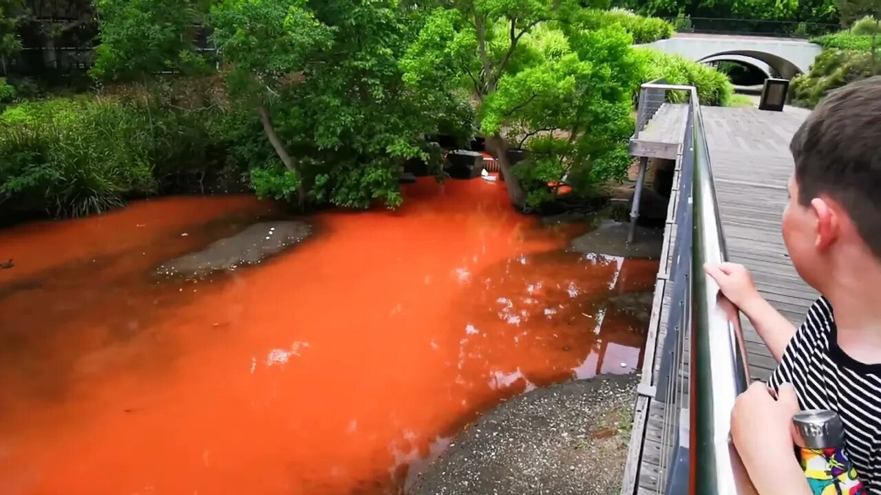 River of Slime!