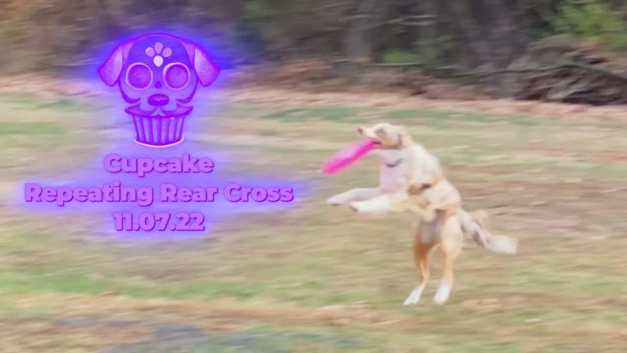 CupCake Does Her Forms | Repeating Rear Cross - Nov 7, 2022