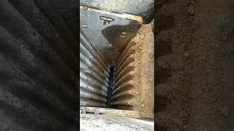 Eating Monster Tiktok dongfangmachinery