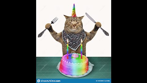 Cute Cat and birthday cake # shorts