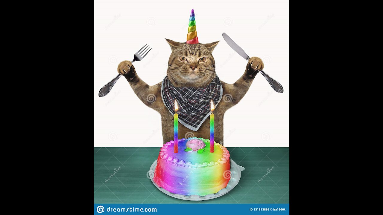 Cute Cat and birthday cake # shorts