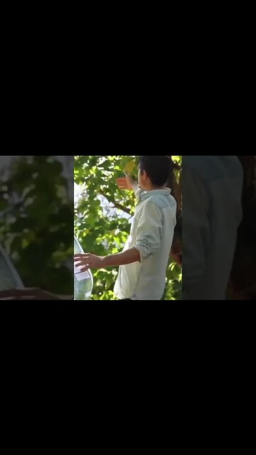 The Magic of Growing Your Own Food