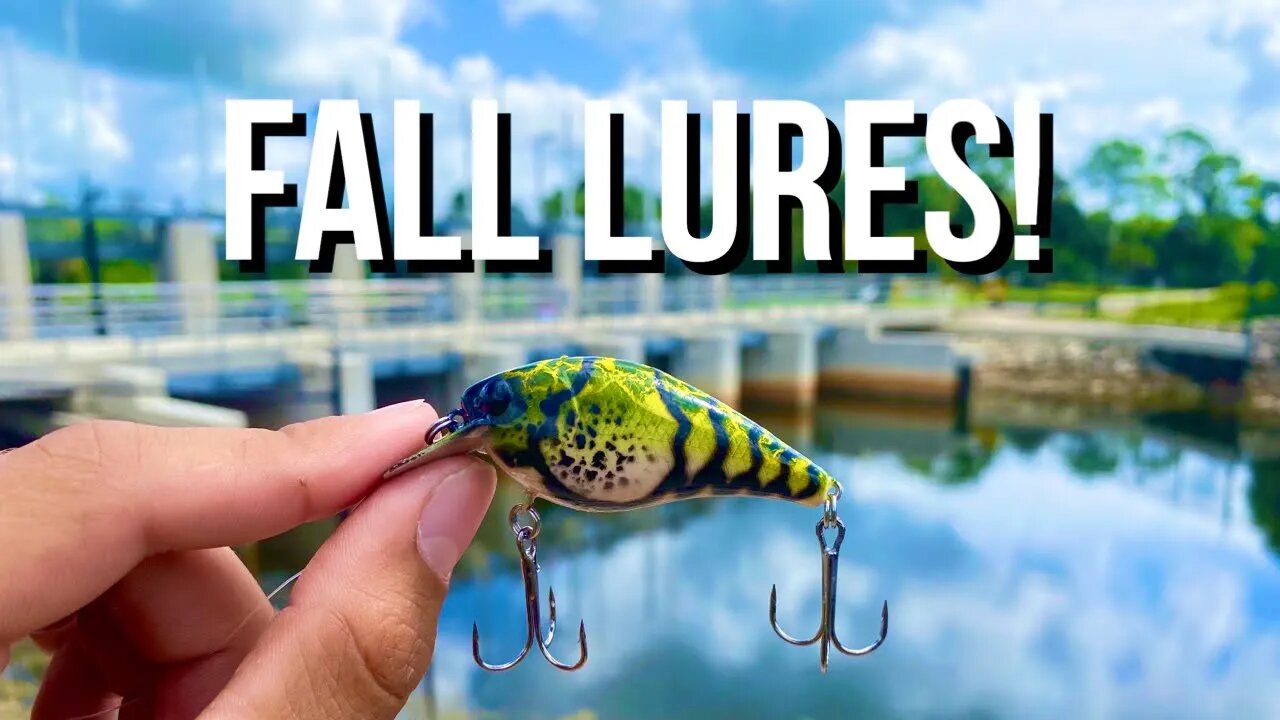 Top 3 BEST Fall Baits for Bass! 🍁