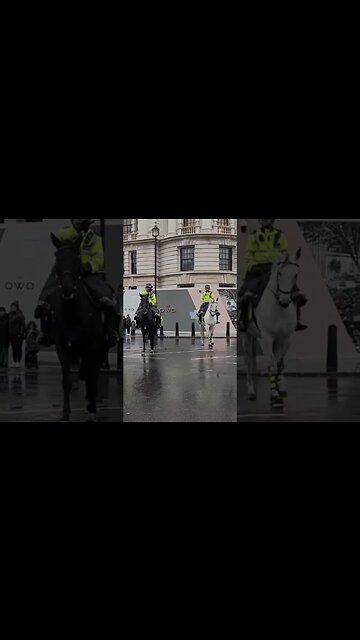 Police horse not with it #horseguardsparade