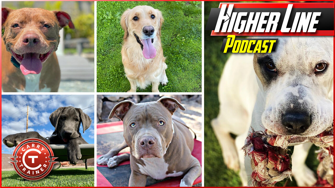 The Canine Connection | Higher Line Podcast #150