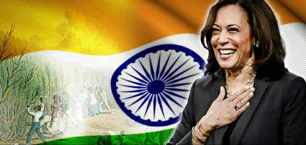 Silence From The Mockingbird Media On Kamala Harris Spending Our Money To Support The Caste System