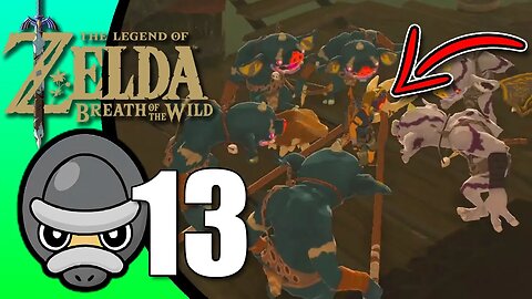 Zelda: Breath of the Wild // Part 13