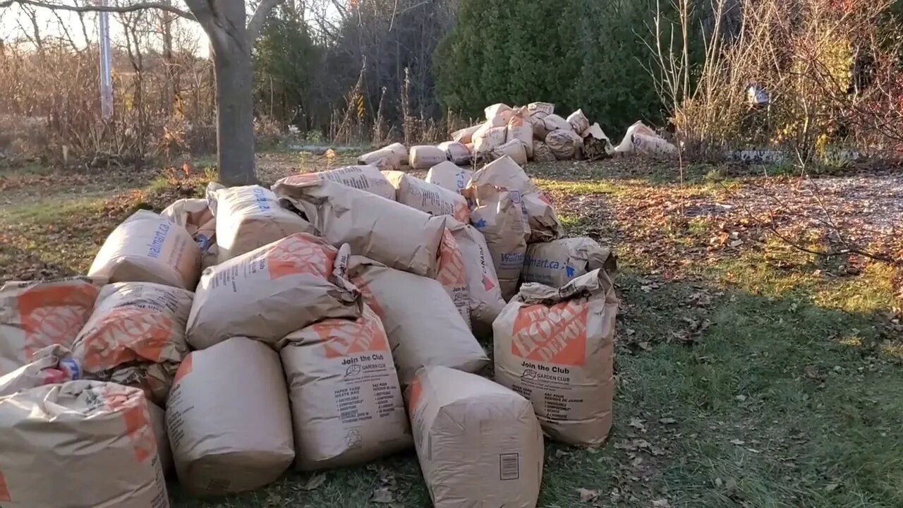 For reddit r/composting leaf bag challenge