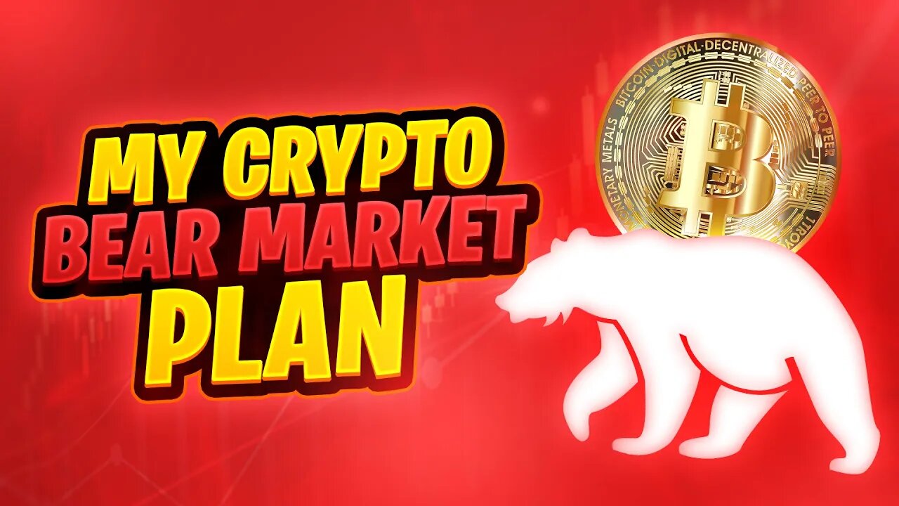 Have We Hit The Bitcoin Bottom? My Crypto Bear Market Plans & My NFT Launch