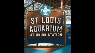 St. Louis Aquarium at Union Station