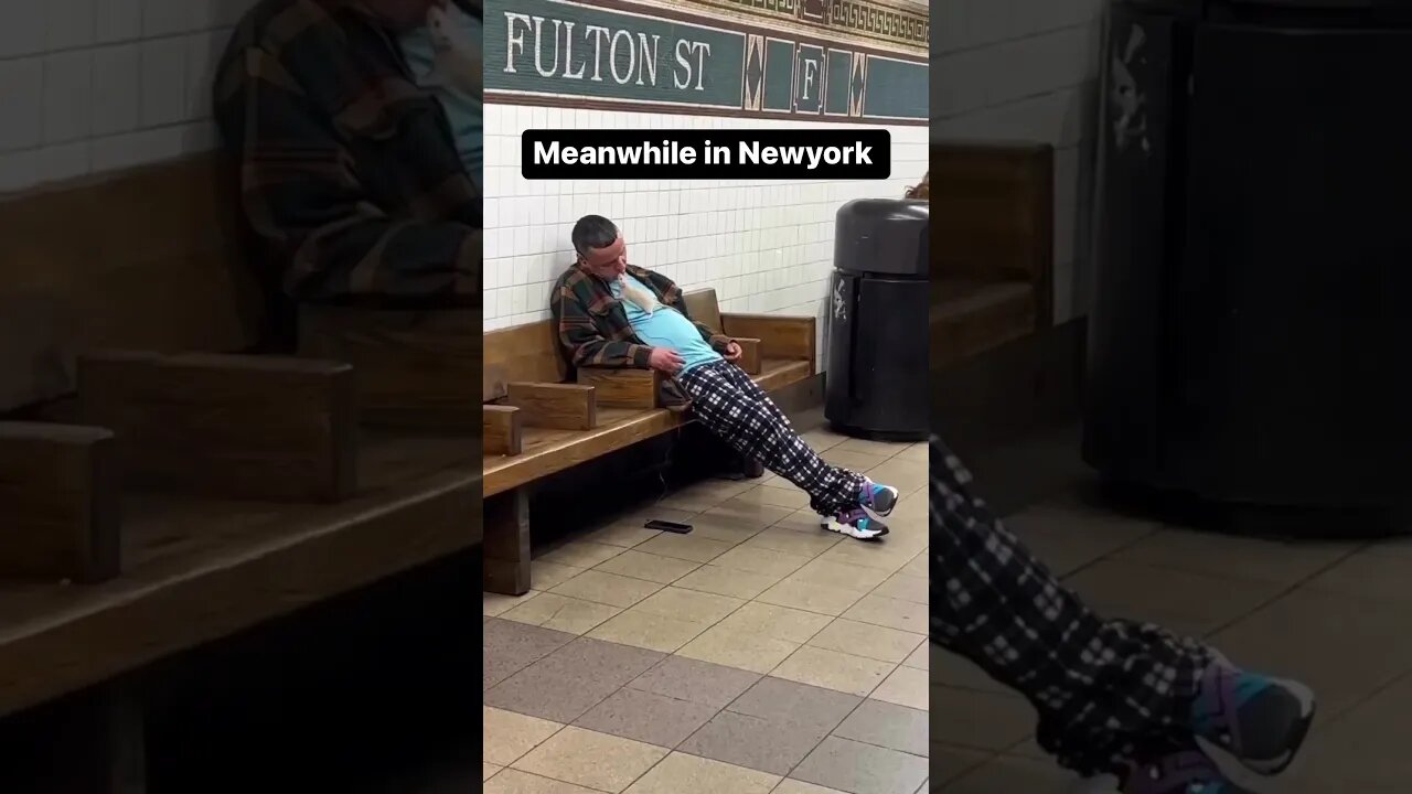 New York Rat Problems Be Too Odee