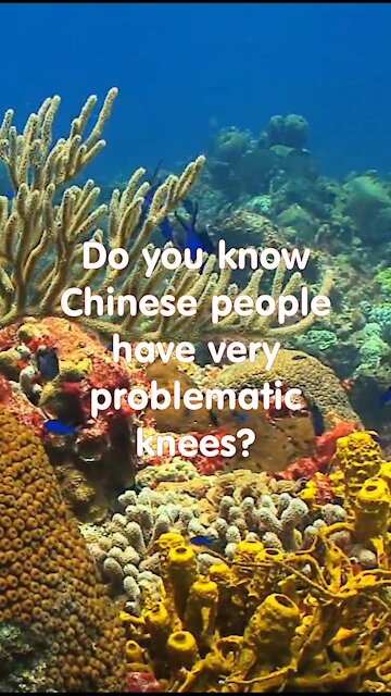 Funny short joke. Do you know that Chinese people have problematic knee?