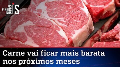 Depois da gasolina, preço da carne também deve cair