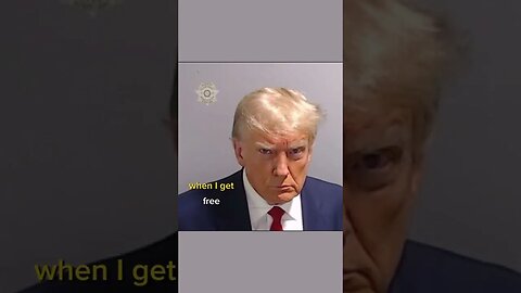 The official mugshot of President Donald Trump