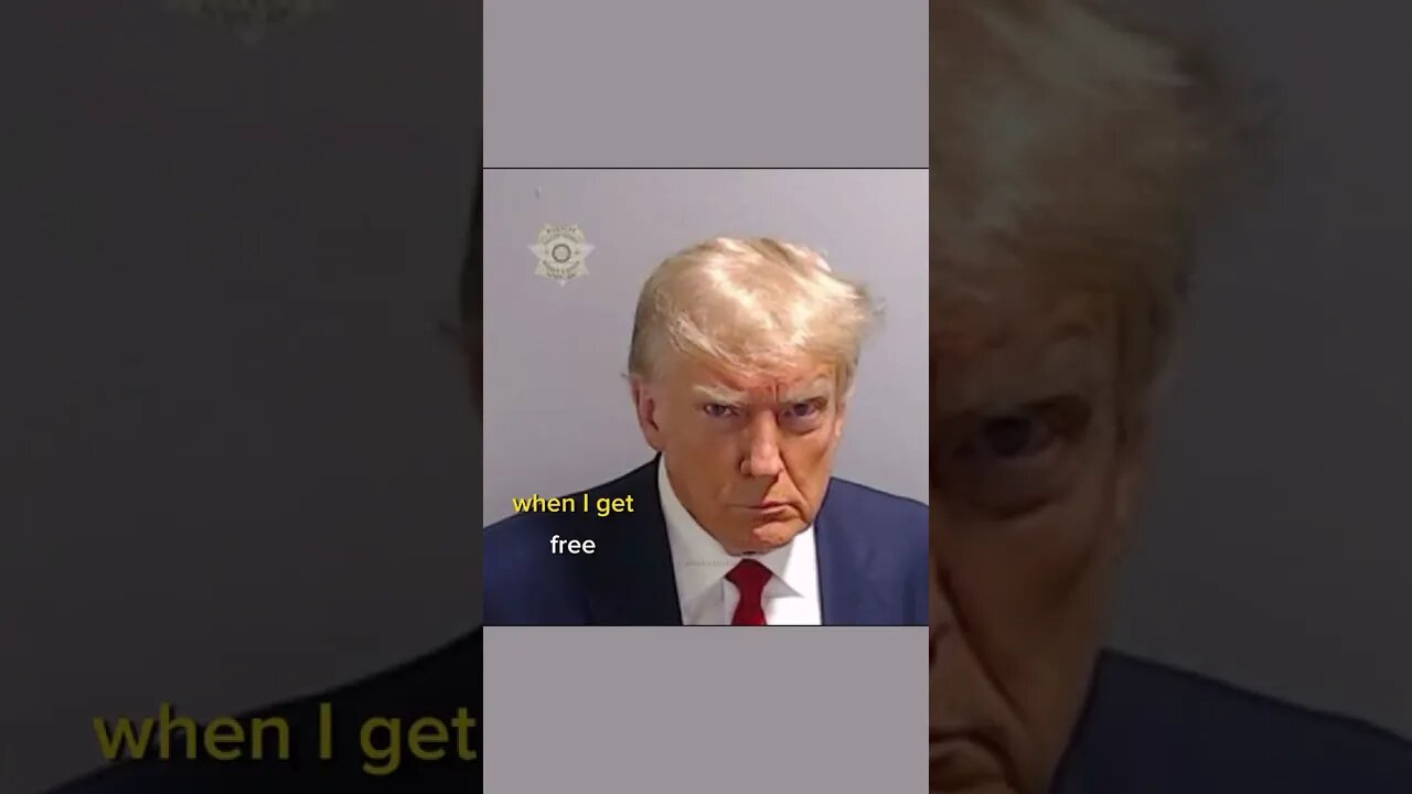 The official mugshot of President Donald Trump