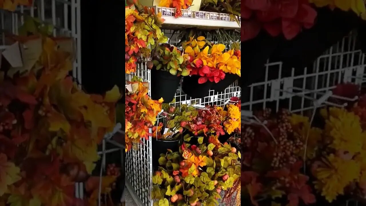 More Fall Merch from Dollar Tree #dollartree #fall #halloweendecor