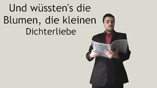 Und wüssten's die Blumen, die kleinen - Dichterliebe - Robert Schumann