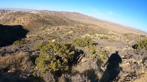 Ryan Mountain Trail, Joshua Tree National Park