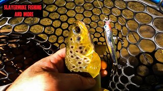 Catching Trout During a Fall Cold Front