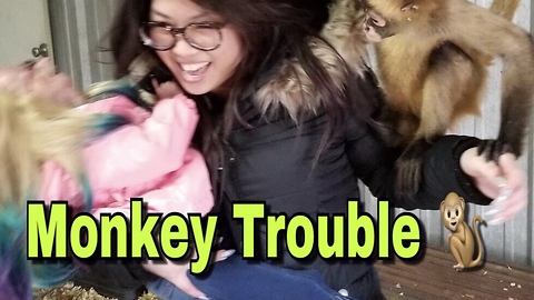 Adalia Rose Documents Her Monkey Troubles At The Zoo 