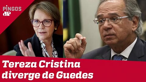 Agricultura não é vilã, diz Tereza Cristina
