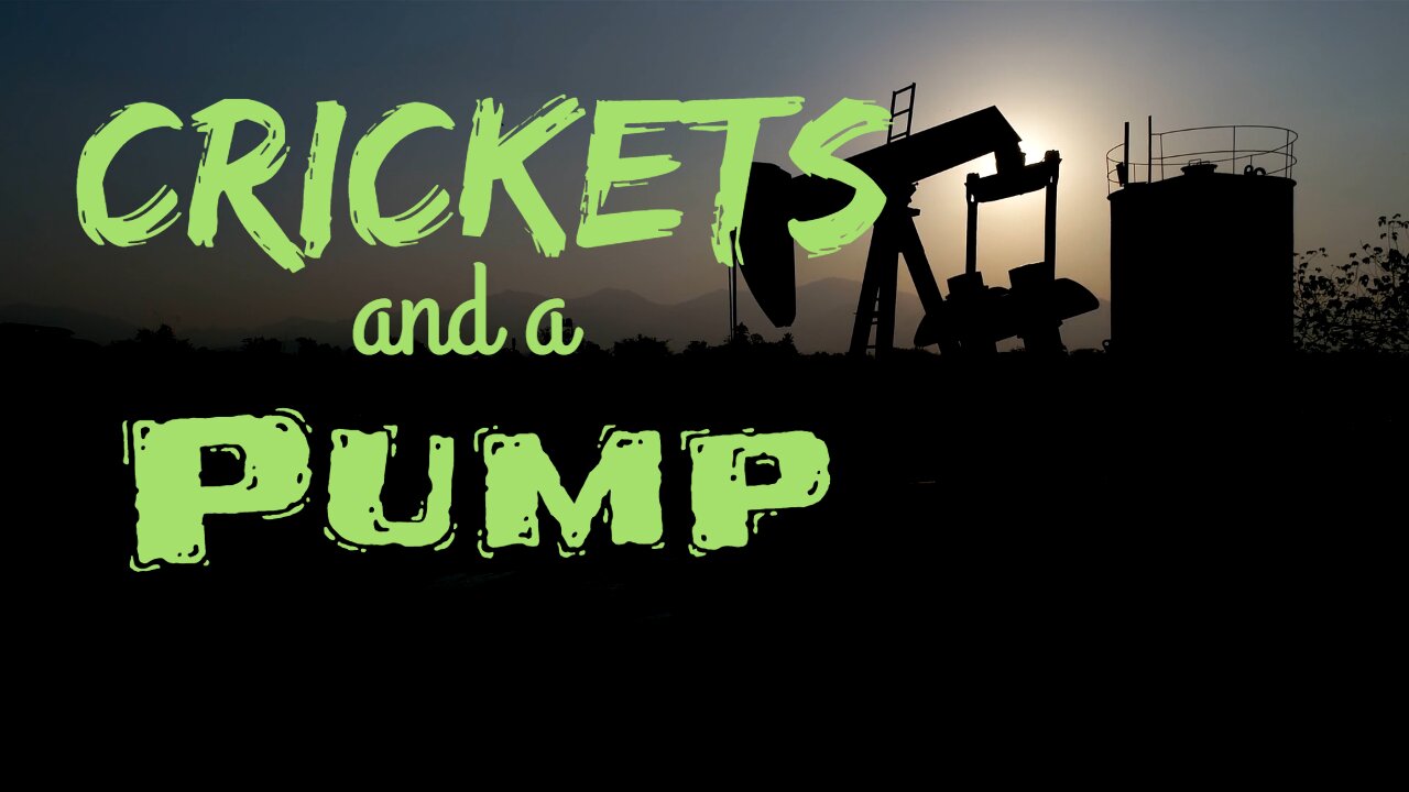 Crickets and a Pump | 15 Minutes of Twilight | Ambient Sound | What Else Is There?
