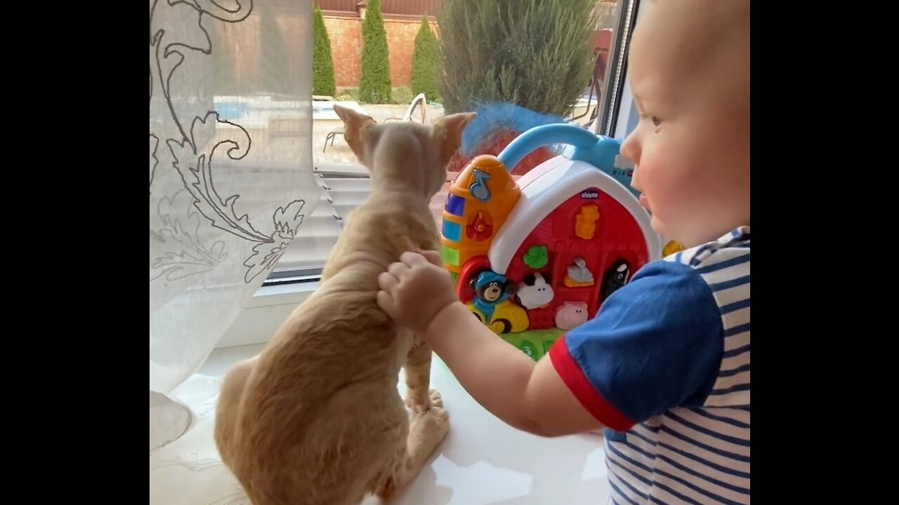 Cat Vs baby funny moments ( look how innocent baby behave with cat)