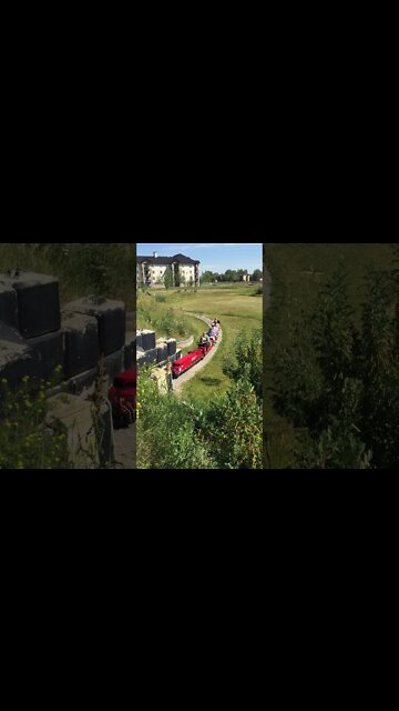 Hope For Life IHP Fun Day Pt1