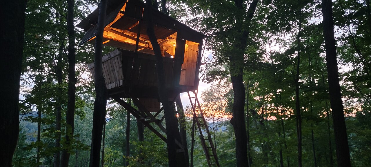 WV Treehouse Lights Part 1 ? Solar Power Edison Lights Faux-grid #fauxgrid