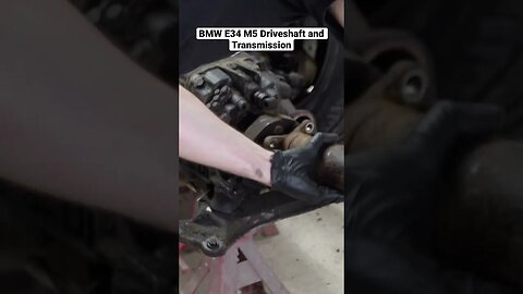 BMW E34 M5 Driveshaft and Transmission #bmw #cars #diy #bmwm5 #bmwe34 #restoration #automotive