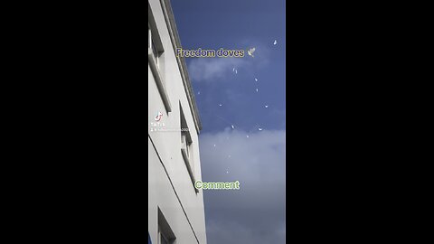 Freedom doves