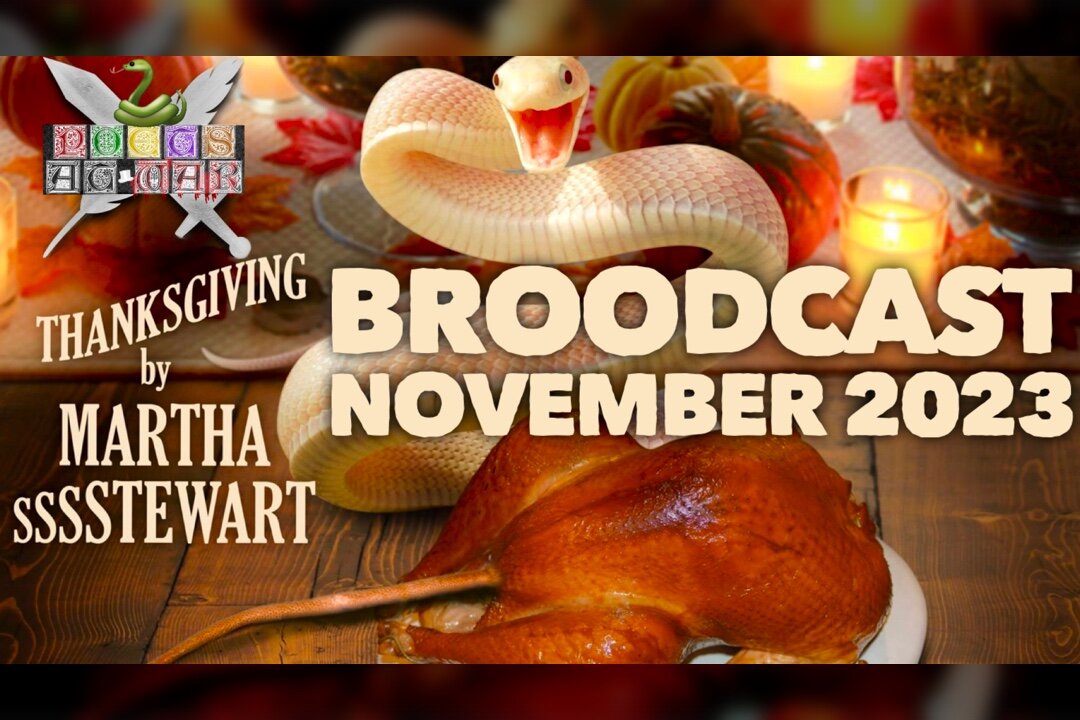 The Broodcast November 2023: Thanksgiving by Martha Ssssstewart!