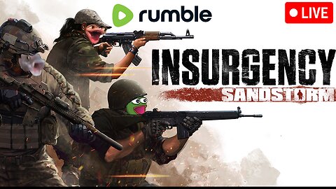 Solo Insurgency Sandstorm