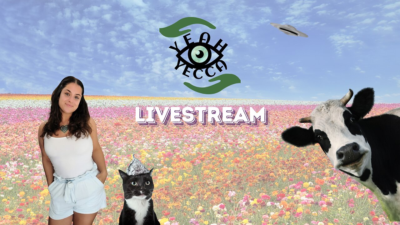 Women's Hormone Health - Yeah Yecca Livestream