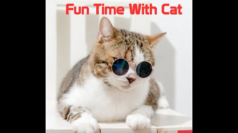 Funny Cat doing Fun and enjoy,Lol, Comedy, Fun