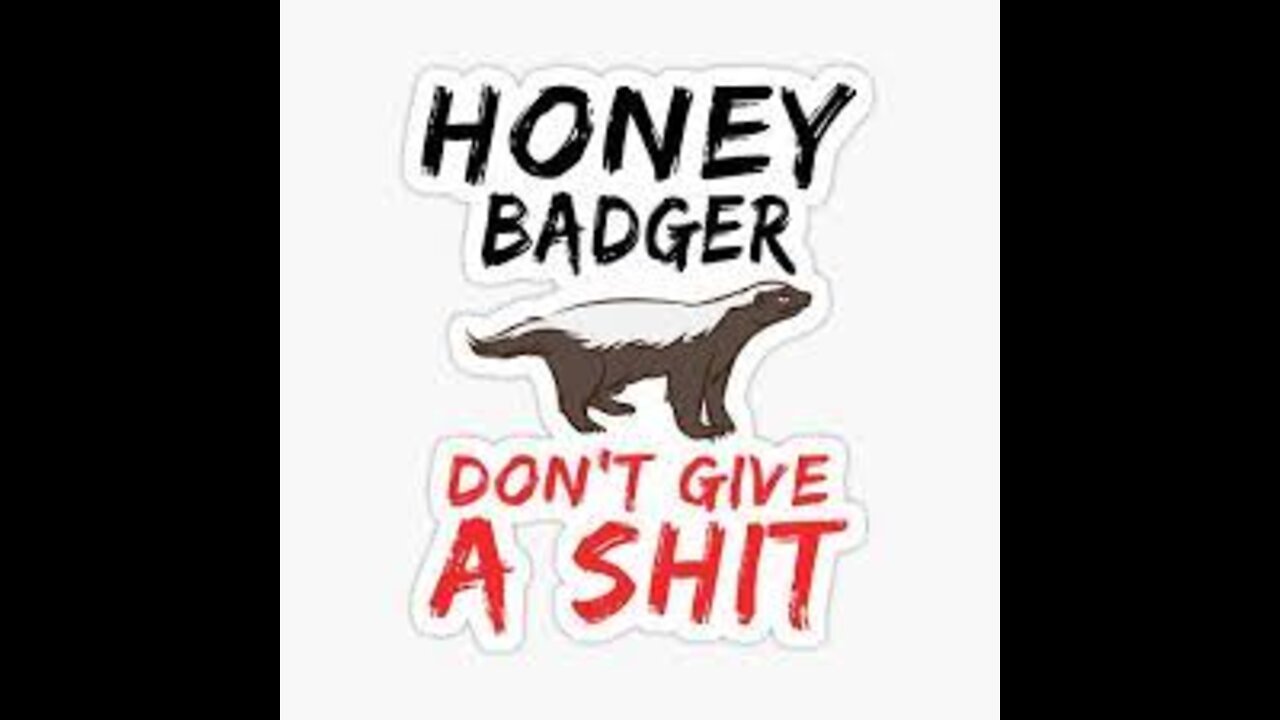Honey Badger Doesn't Give A Shit
