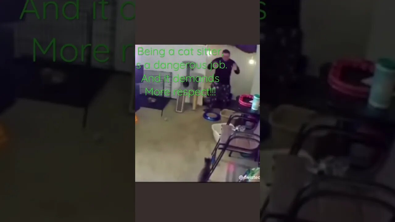 Respect the kitty
