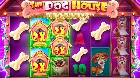 WE DEPOSITED $5,000 ON DOG HOUSE MEGAWAYS AND THIS IS WHAT WE GOT BACK!