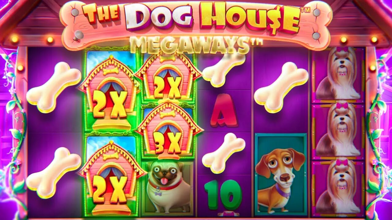 WE DEPOSITED $5,000 ON DOG HOUSE MEGAWAYS AND THIS IS WHAT WE GOT BACK!