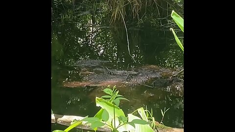 Dangerous trail in South Florida