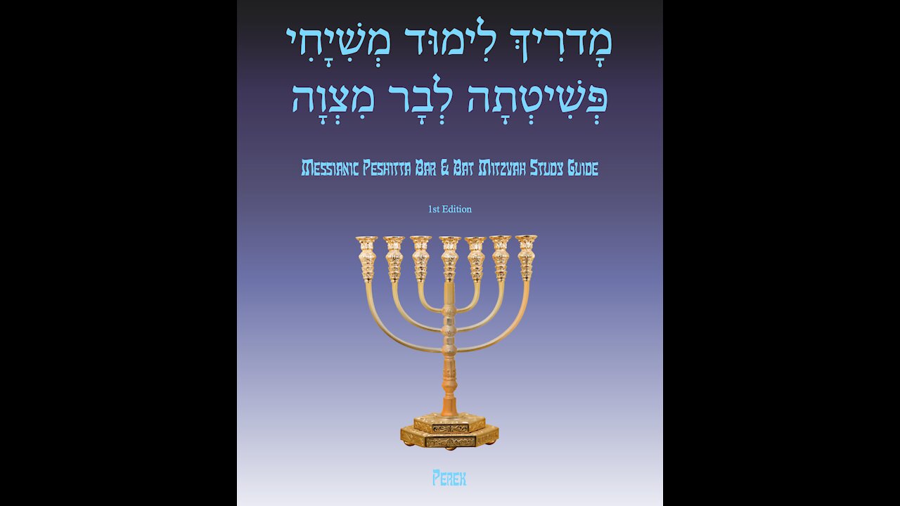 Bar Mitzvah Study Guide Deep Dive Week 25