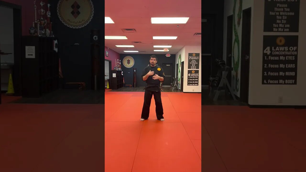 A new Million Dollar Martial Arts School in Texas: Sebastian Mejias
